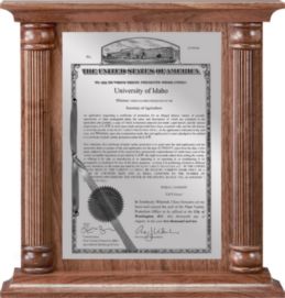 Patent Plaques Custom Wall Hanging Column PVP Plaque - 12" x 12.5" Silver and Walnut.